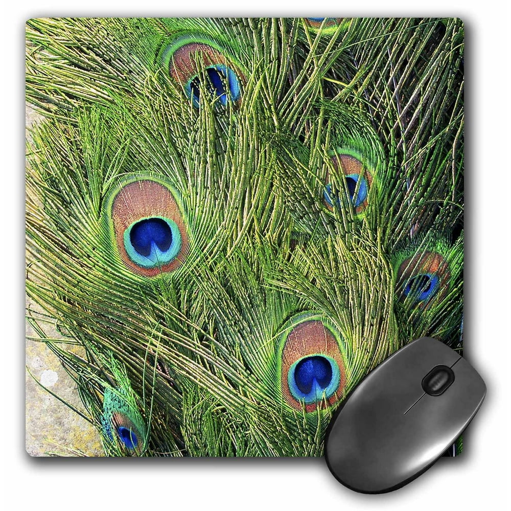 3dRose Peacock , Mouse Pad, 8 by 8 inches - Walmart.com - Walmart.com