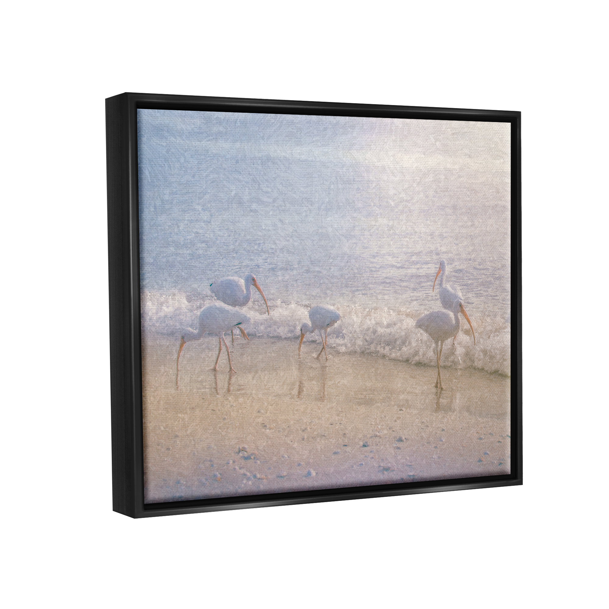 Stupell Seaside Waves Bird Flock Grazing Landscape Painting Black Floater Framed Art Print Wall Art