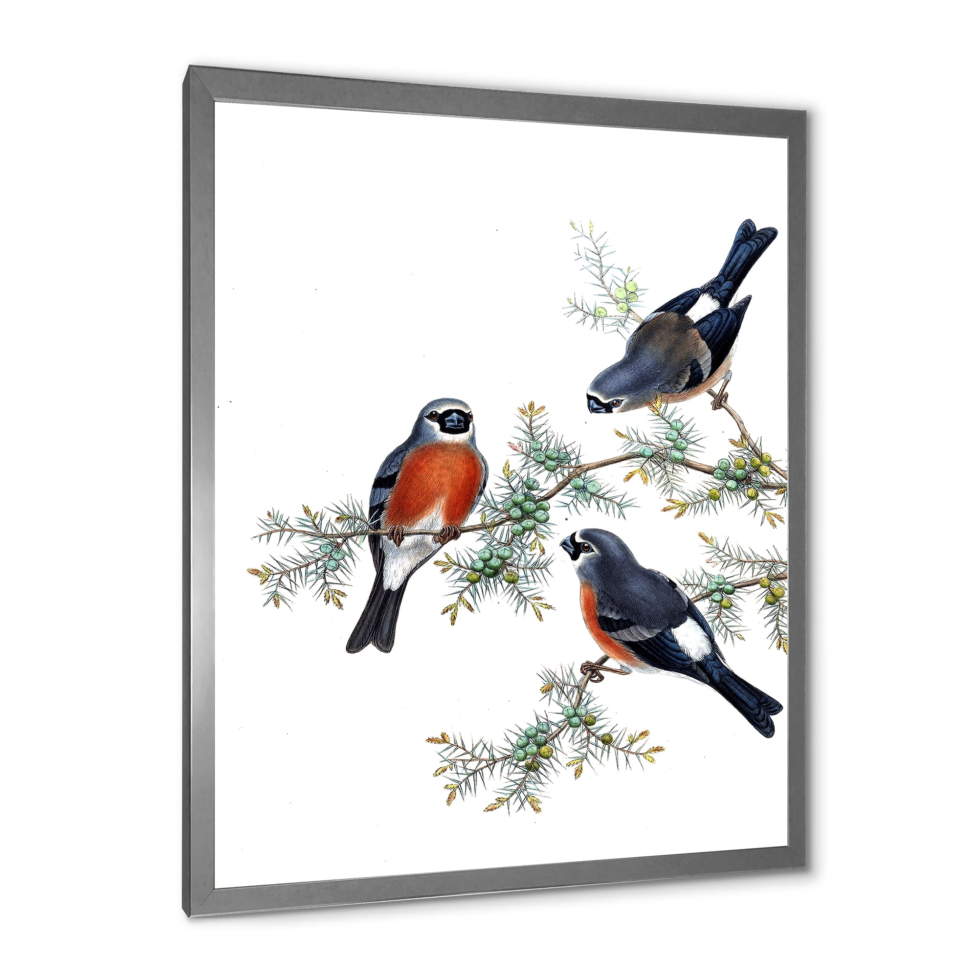 Designart 'Vintage Countryside Birds On Branch III' Farmhouse Framed Art Print