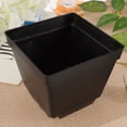 thumbnail image 1 of unbranded 20Ud Maceta Para Plantas Con Ranuras De Aireación Especialmente Para Suculentas, 1 of 7