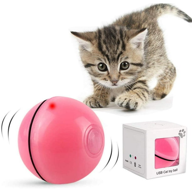 Kitten balls top