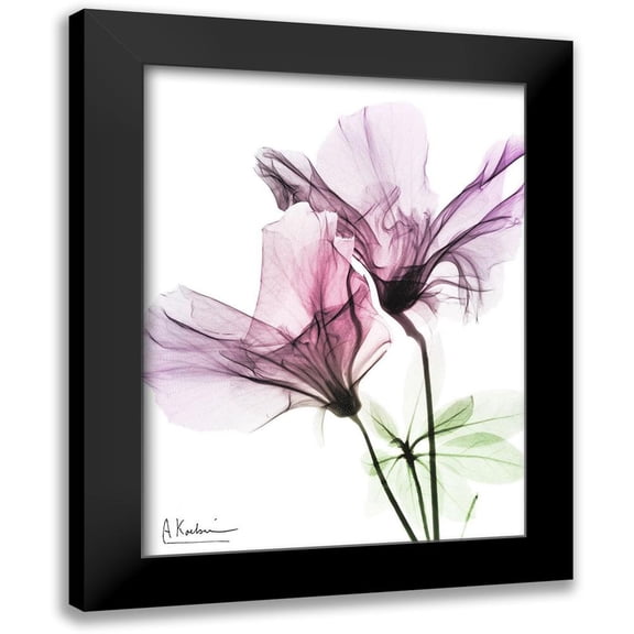 Koetsier, Albert 12x14 Black Modern Framed Museum Art Print Titled - Splendid Beauty 2