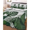 thumbnail image 3 of Quilts Twin Size Bedding Set, Palm Leaves Lightweight Quilted Comforter, Tropical Botanical Leaf Summer Wooden Gray Soft Reversible Bedspread Coverlet with Pillow Covers for All Season, 68" x 86", 3 of 7