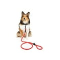 thumbnail image 2 of One Paw, Hiker Reflective Rope Dog Leash, Multiple Colors, 5 ft, 2 of 2