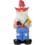 Forever Collectibles Collegiate Thematic Gnome