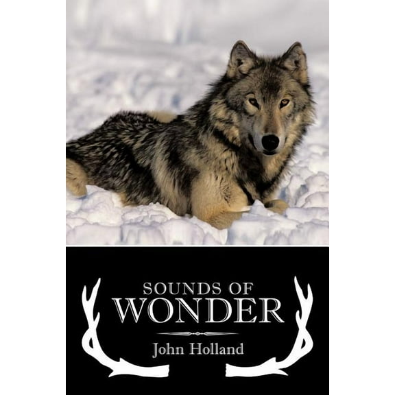 Sounds of Wonder (Paperback)