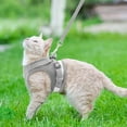 thumbnail image 6 of TETOU Cat Harness and Leash Set for Walking Adjustable Vest with Reflective Strap for Pet Kitten Puppy, 6 of 8