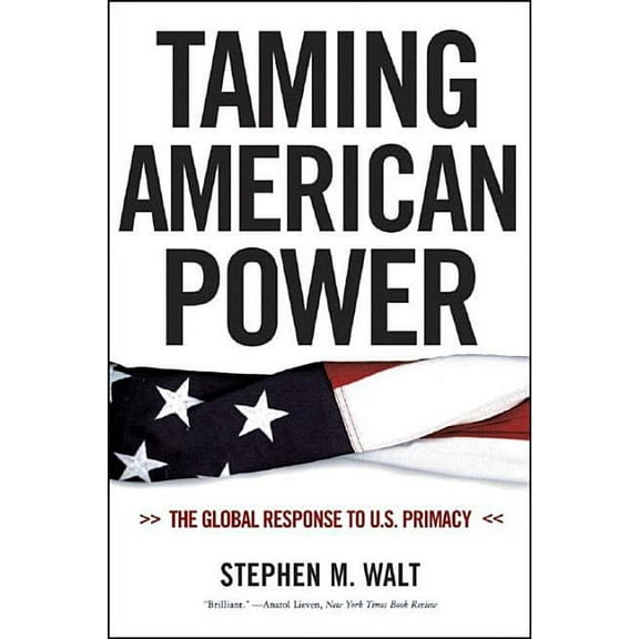 Taming American Power: The Global Response to U.S. Primacy, (Paperback)