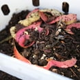 thumbnail image 5 of Vego In-ground Worm Composter- Sage GreenVego Garden In-Ground Worm Composter Outdoor Farm Compost Bin 7 Gallons BPA-Free Composting System for Raised Garden Beds, Sage Green, 5 of 5