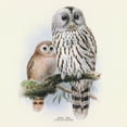 thumbnail image 5 of Calendar 2024-2025, Birds Wall Calendar, Monthly Calendar, 16 Month Hanging Calendar Sep 2024 - Dec 2025, 12x12 in., 5 of 5