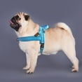 thumbnail image 3 of Didog Soft Mesh Padded Dog Vest Harness,Escape Proof / Quick Fit Reflective Dog Strap Harness, Easy for Training Walking(Blue,L), 3 of 6