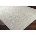 thumbnail image 2 of Hauteloom Dubbo Living Room, Bedroom Area Rug - Traditional - Gray, Beige - 2' x 3', 2 of 9
