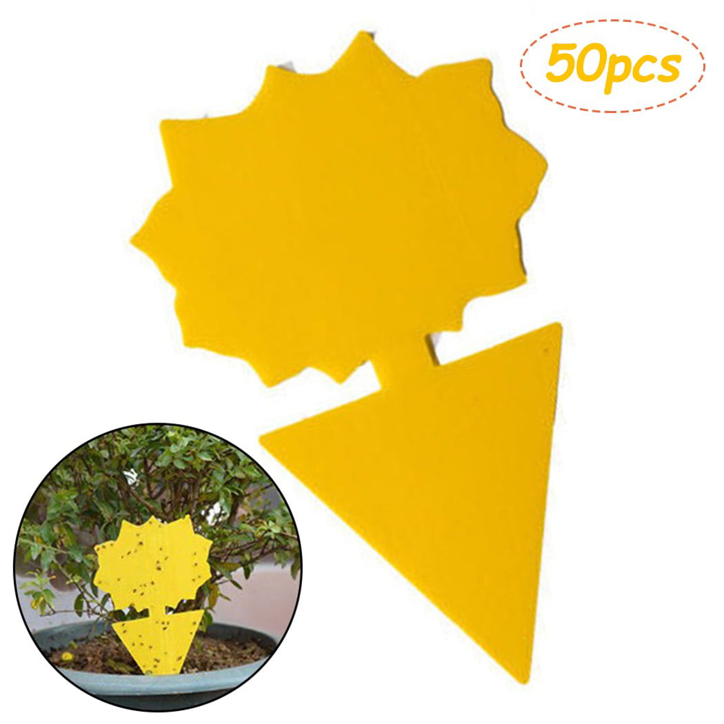 50Pcs Sticky Fly-Trap Paper Yellow Traps Fruit Flies Insect Glue Catcher Tool 