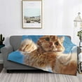thumbnail image 2 of Disketp Playful Cat Fisheye View Flannel Blankets - Thick and Warm Blanket for Winter, Soft Fuzzy Plush King Blanket for All Seasons-80"x60", 2 of 6
