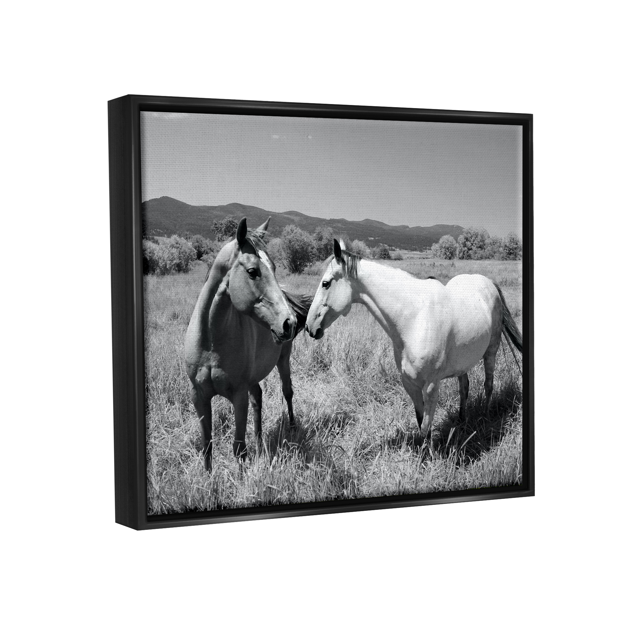 Stupell Industries Two Horses Photography Landscape Photography Black Floater Framed Canvas Art Print Wall Art, 31 x 25