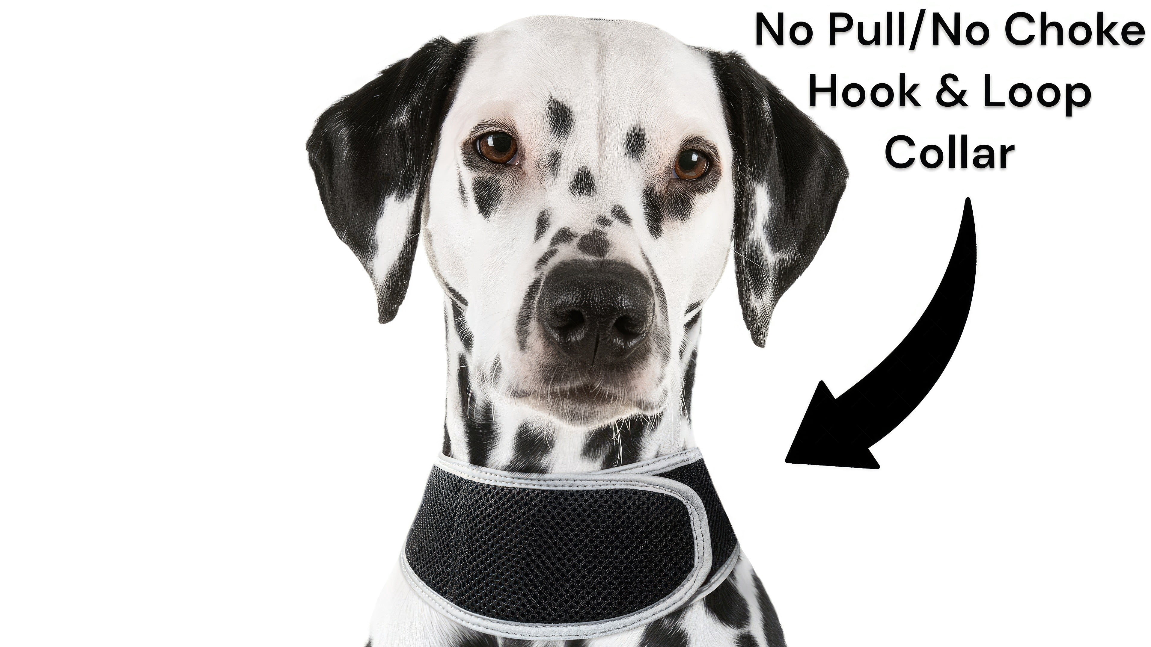 NEW GPS GSM Realtime Dog Tracking System Waterproof Collar Pet Tracker Size:XS