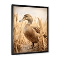 thumbnail image 2 of Designart "Retro Duck Elegance I" Animals Framed Wall Art - Traditional Brown Duck Entryway Framed Wall Art, 2 of 6