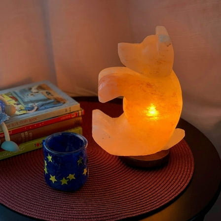 Himalayan Salt Bear Lamp 6 lbs