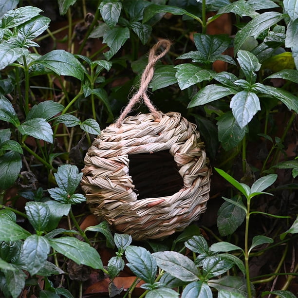 Casa Nido De Colibrí Nido de colibrí Casa Césped natural Colgando Bird Hut Suministros de jardín (4 piezas)