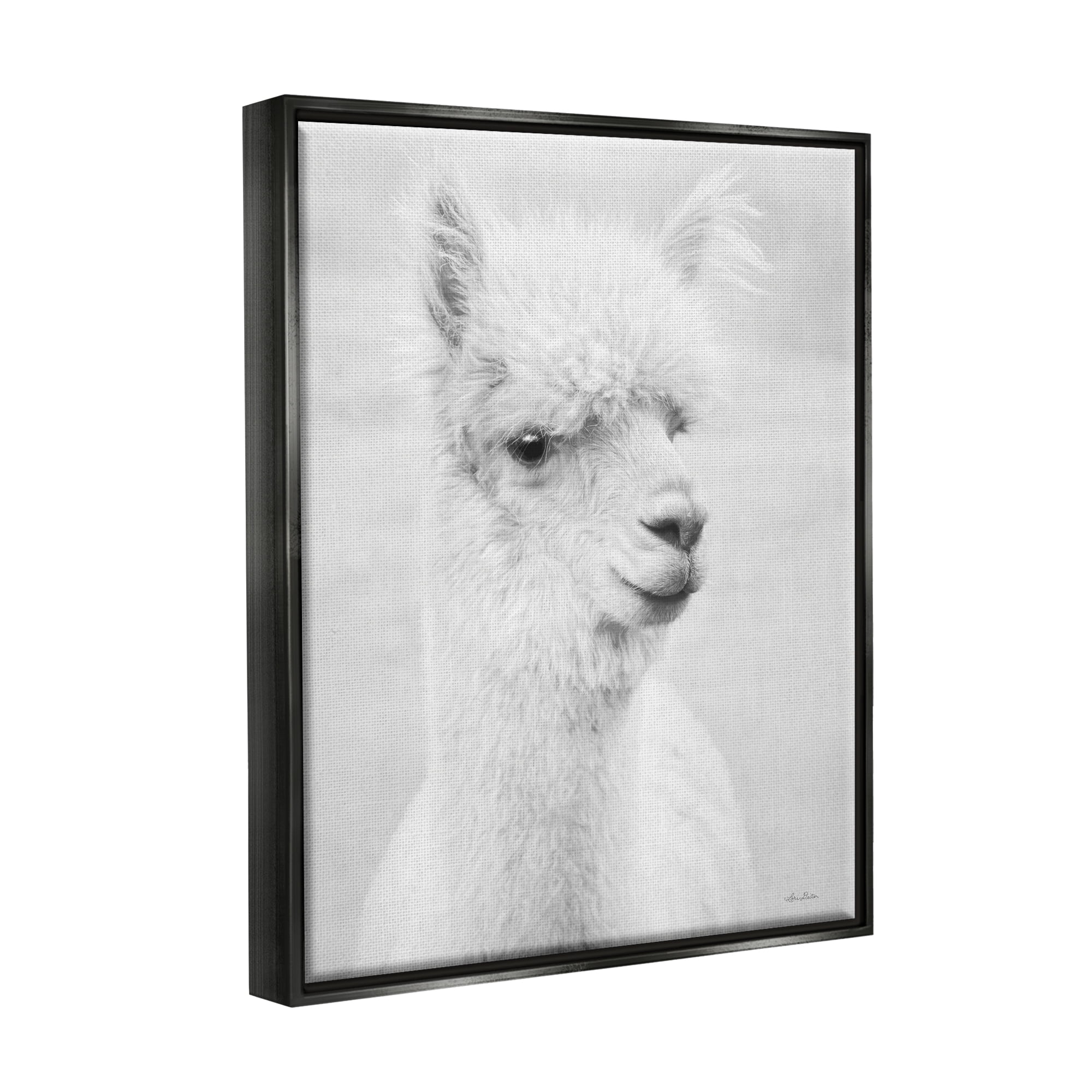 Stupell Monochrome Alpaca Farm Animal Animals & Insects Photography Black Floater Framed Art Print Wall Art