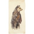 thumbnail image 3 of Wang, Melissa 14x24 Black Modern Framed Museum Art Print Titled - Brown Bear Stare II, 3 of 5