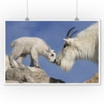 thumbnail image 2 of Mountain Goat and Kid (9x12 Wall Art Print, Home Decor), 2 of 3
