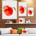 thumbnail image 3 of Large Red Poppy on White Back - Flower Artwork on Canvas, 3 of 4