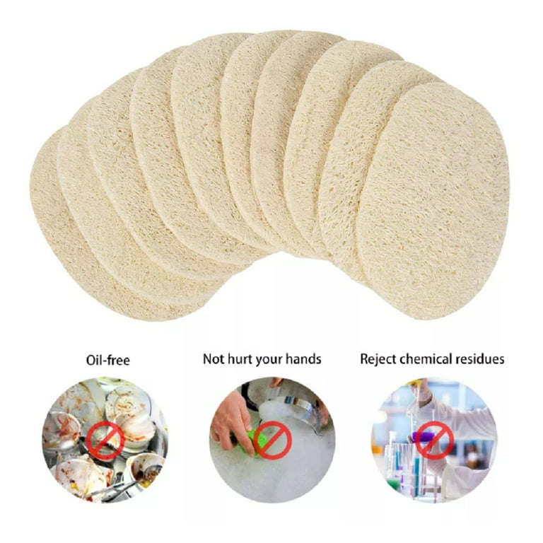 Natural Sponges 3 to 4 Toxin-Free