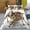 style3320, variant on Tarantula Print Bedding 3D Print Black Brown Spider Comforter Cover Set Insect Theme White Duvet Cover Bedroom r Kids Adults