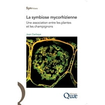 La symbiose mycorhizienne, (Paperback)