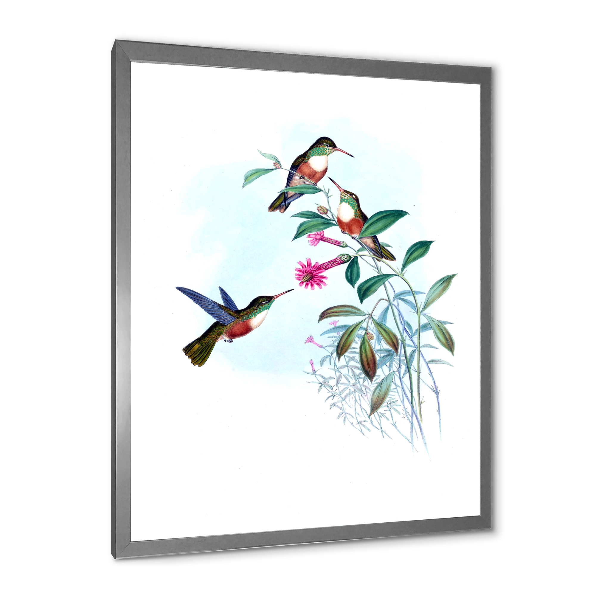 Designart 'Ancient Hummingbird IV' Traditional Framed Art Print