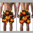 thumbnail image 3 of luoweisi Men's Beach Shorts Quick Dry Swim Trunks with Mesh Lining Thanksgiving Pumpkin XL, 3 of 5