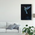thumbnail image 3 of Trademark Fine Art 'Mountain Gem I' Canvas Art by Grace Popp, 3 of 4