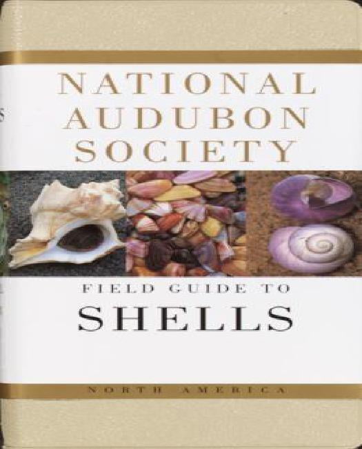 North America National Audubon Society Field Guide to Shells