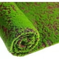 thumbnail image 1 of Simulación de césped de musgo, plantación de piel, simulación de césped, césped, planta de piedra de musgo, planta de simulación de musgo, pared de césped, 1 of 5
