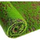 thumbnail image 1 of Simulación de césped de musgo, plantación de piel, simulación de césped, césped, planta de piedra de musgo, planta de simulación de musgo, pared de césped, 1 of 5
