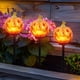 thumbnail image 5 of Xihbxyly Lámpara Solar de Calabaza de Resina, Linterna Led Impermeable, Decoración Solar para Exteriores, Iluminación para Pasarelas de Jardín, Decoración para Fiestas de Halloween, 8-10 Horas de Luz, 5 of 5