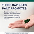 thumbnail image 4 of Metagenics PhytoMulti Multivitamin with Phytonutrients - Daily Multivitamin Supplement for Men & Women - with Zinc & B6 Vitamins - 60 Capsules, 4 of 9