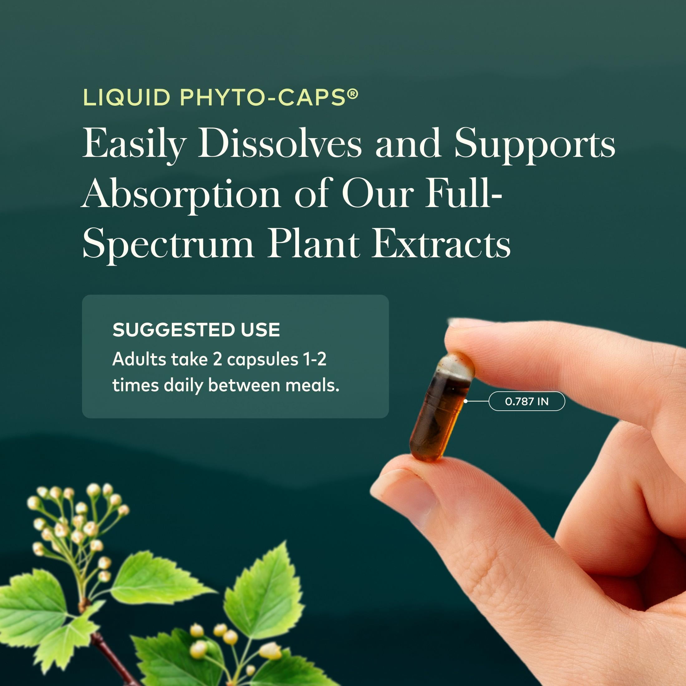 Gaia Herbs Black Seed Oil - Cold-Pressed Capsules with Nigella Seed Traditionally Used for Lung, Respiratory & Antioxidant Support* - Herbal Supplement - 60 Vegan Liquid Phyto-Caps (30 Servings)