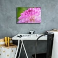 thumbnail image 5 of Epic Graffiti 'Cerise Pink Dahlia' by Cora Niele, Canvas Wall Art, 18"x12", 5 of 8