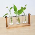 thumbnail image 4 of justharion Glass Tube Vase Flower Pot Planter Propagation Terrarium Home, 4 of 8