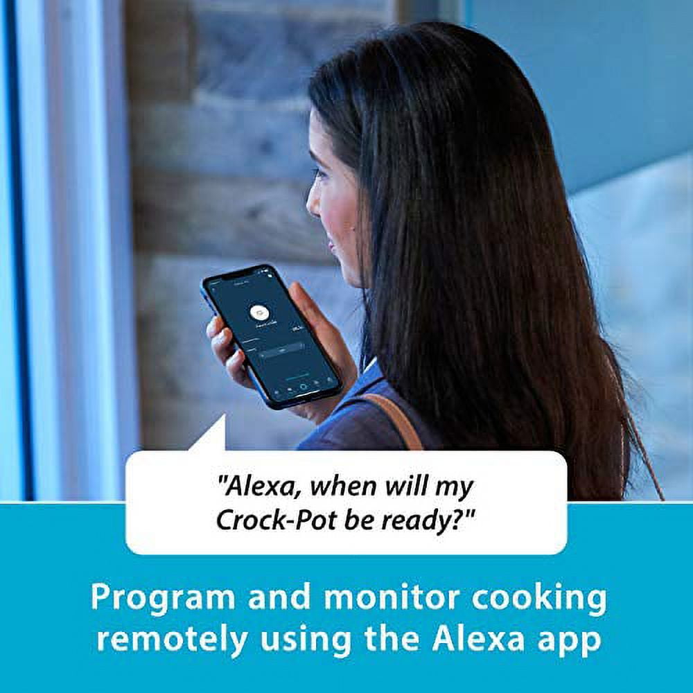 Crock pot alexa sale