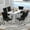 Table with White Base and 6 Black Chairs, variant on Sumdeal 71" White base White Sintered Stone Dining Table with 4 Black Velvet Upholstered Chairs