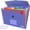 Blue Purple, variant on Accordion File Organizer, 7-Pockets Expanding File Folder for A4 Letter Size Paper,  Purple