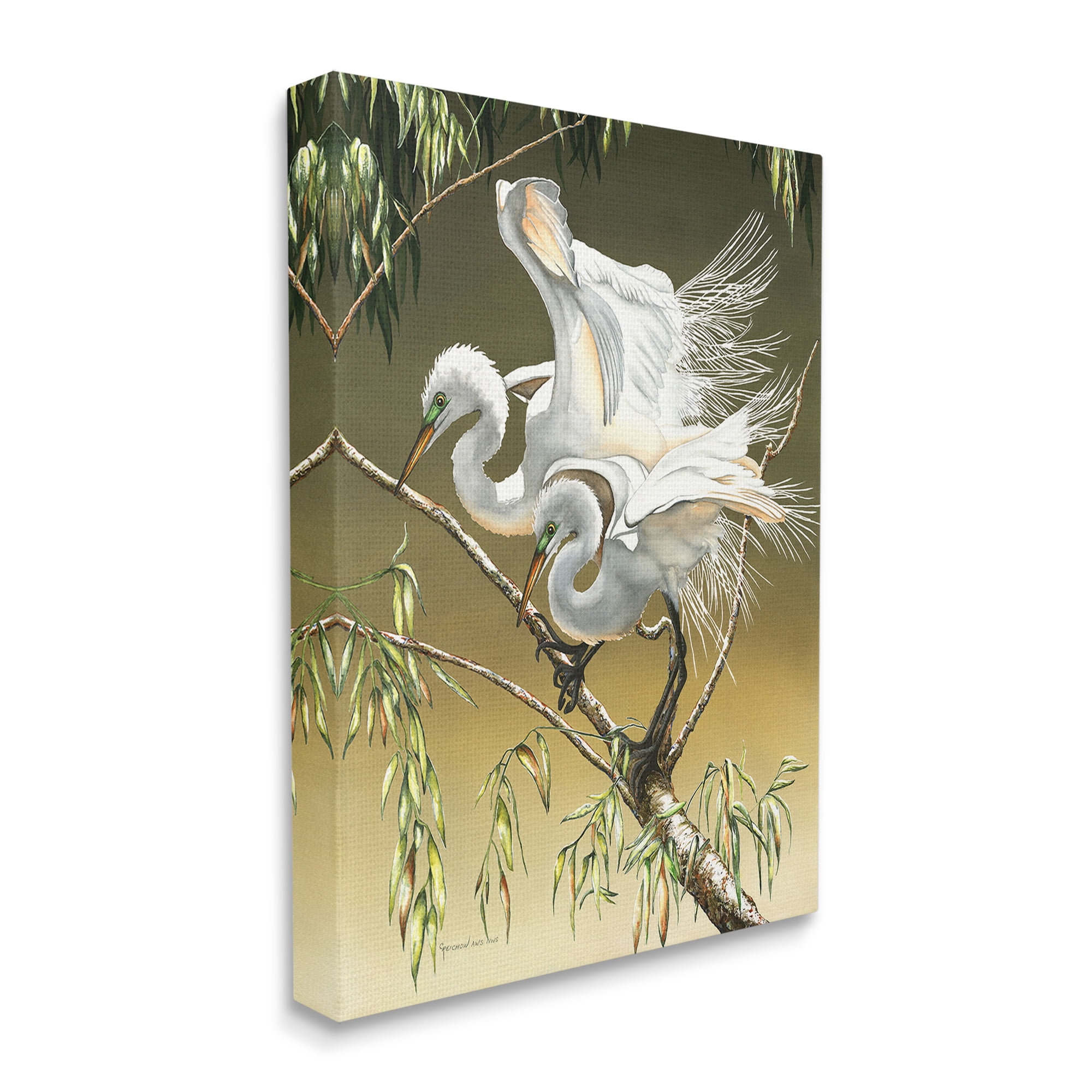 Stupell Industries Egrets Perched on Branch Animals & Insects Painting Gallery Wrapped Canvas Art Print Wall Art, 36 x 48