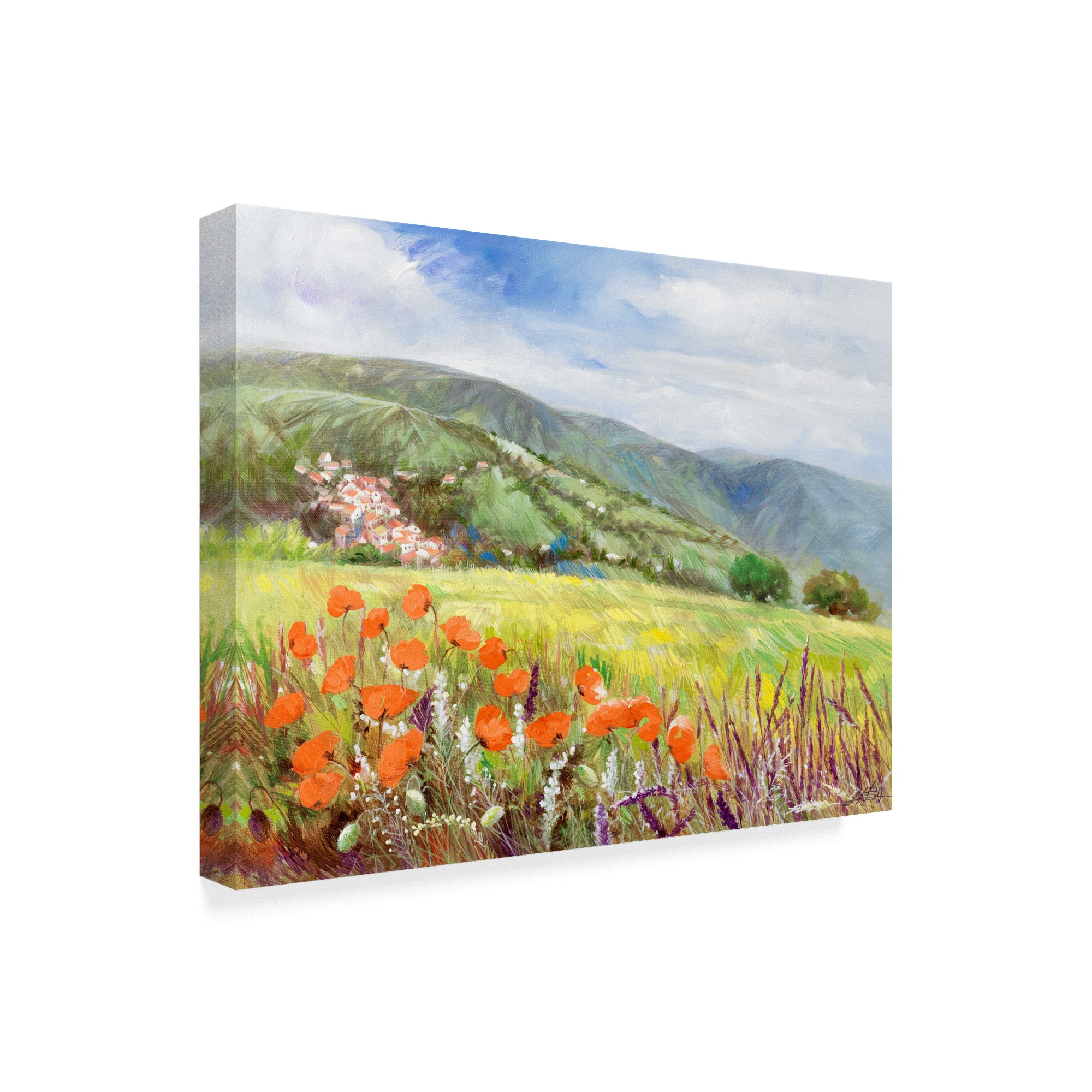 Trademark Fine Art 'Blooming Poppy 1' Canvas Art by Li Bo