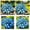 C, variant on Plantable Blue Hostas (Non-Artificial), Rare & Beautiful, Beginner Friendly Fast Growing Variety with Lush Blue Foliage for Outdoor Decor