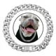 thumbnail image 1 of Collar De Cadena Para Mascotas, Perros Y Gatos De 15 Mm Con, 1 of 8
