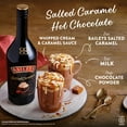 thumbnail image 4 of Baileys Salted Caramel Irish Cream Liqueur, 750 ml Bottle, 17% ABV, 4 of 10