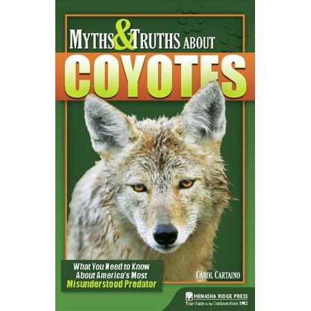Myths And Truths About Coyotes What You Need To Know